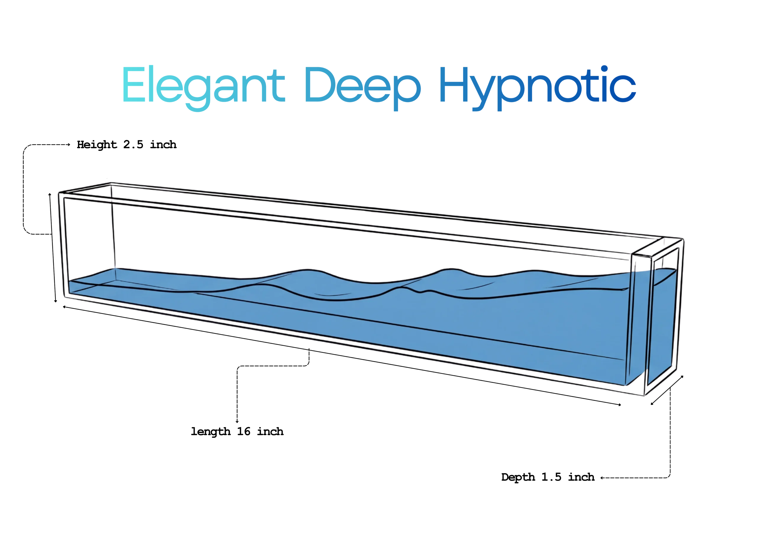 16 Product Dimension 16 Inch Dimension
